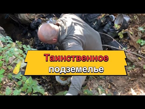 Видео: Путешествие в Гомель с Витей Мусорщиком 2 серия - Заброшенные хаты Гомельщины
