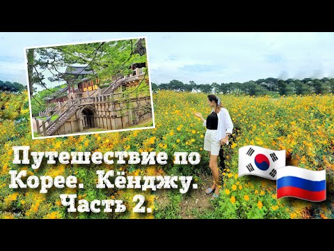 Видео: Путешествия по Корее. Кёнджу. Часть 2. Южная Корея влог .