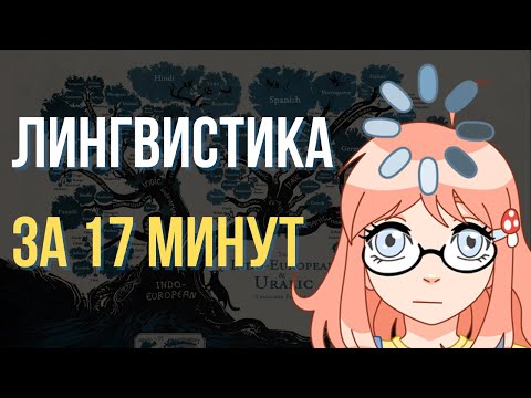 Видео: ГАЙД НА ЛИНГВИСТИКУ (ликбез)