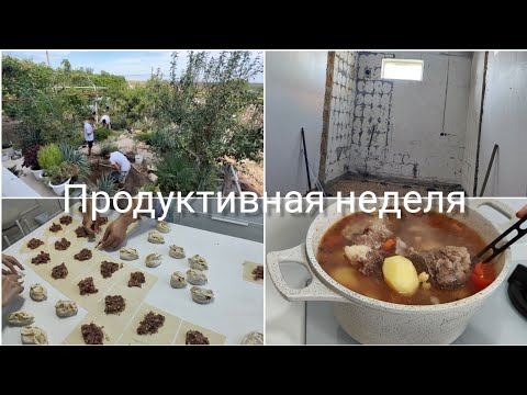 Видео: Пруд с подогревом / РЕМОНТ полным ходом / ШУРПА/ МАНТЫ