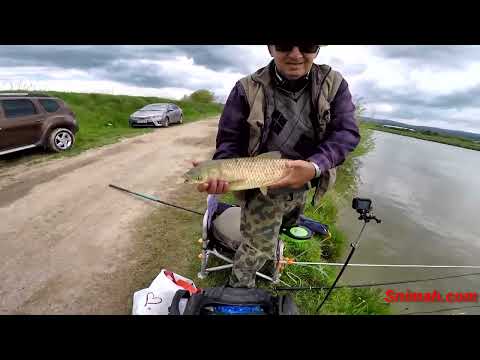 Видео: Доганово още Шараново