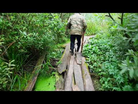 Видео: ЧУХЛОМА!