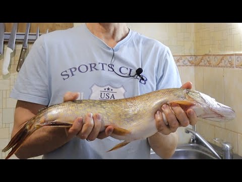 Видео: Фаршированная щука. Фаршированная щука в духовке