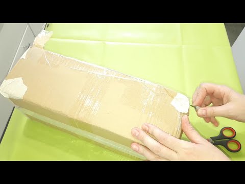 Видео: КОМНАТНЫЕ РАСТЕНИЯ(ЦВЕТЫ).САМАЯ, ОБАЛДЕННАЯ НОВИНОЧКА И ПОКУПКИ.