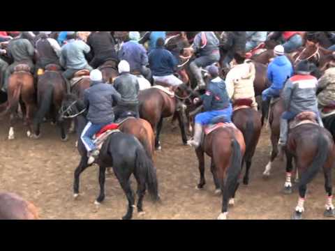 Видео: Кокпар Шардара 15.11.2015 ж. 4-бөлім (1-4 бөлім)