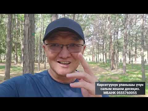 Видео: Манас. Жакып атабыздын мүнөзүнө психологиялык анализ.