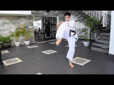 Видео: Урок 1: Разминка и растяжка в стиле Киокушин каратэ (следуйте по тексту)
