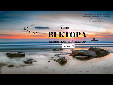 Видео: Занятие 8. Обонятельный вектор. Часть 1. Тренинг  Вектора. Проект Вячеслава Юнева