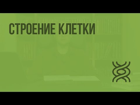 Видео: Строение клетки. Видеоурок по биологии 9 класс