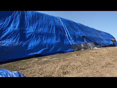 Видео: Тарпаулин - опыт одного сезона на ферме Лукино