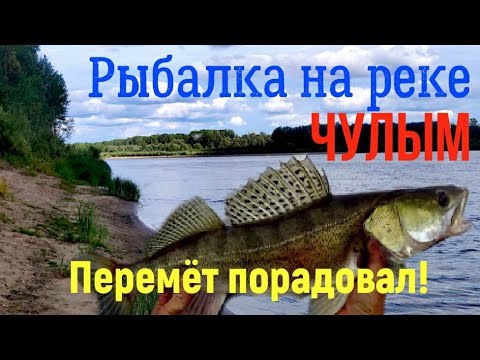 Видео: Рыбалка на реке ЧУЛЫМ. Судачки на перетягу. Окуньки на спиннинг