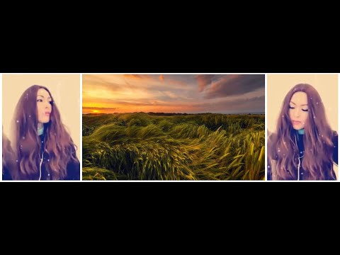 Видео: ДДТ "Ветер" ~ YanaCroft Cover