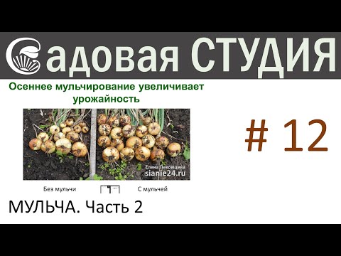 Видео: Всё о мульчировании. Часть 2