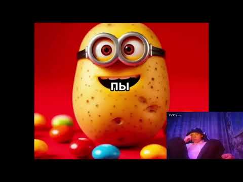 Видео: смотрим   все мемы сентября