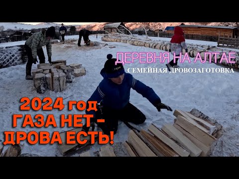 Видео: Шикарный Алтай зимой. Покатушки с детками. Неизвестная напасть на курятник. Накипело, все расскажу!