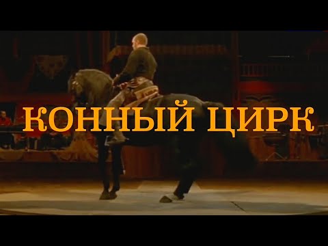 Видео: Конный цирк / Цирки мира  @SMOTRIM_KULTURA