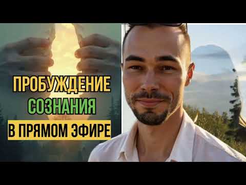 Видео: Прекрасное пробуждение в прямом эфире. 