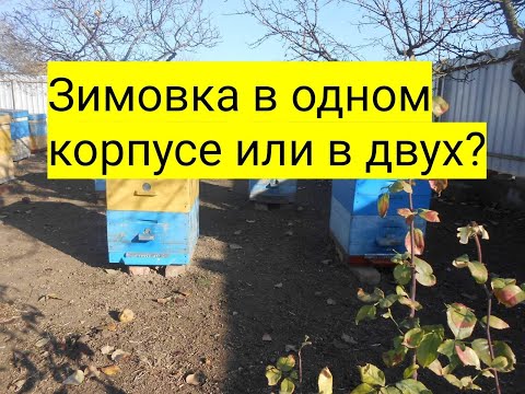 Видео: Зимовка в одном корпусе или в двух