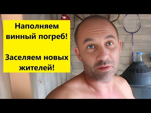 Видео: Болгария! Готовь сани летом!