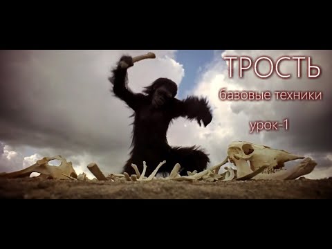 Видео: Трость - вводный урок