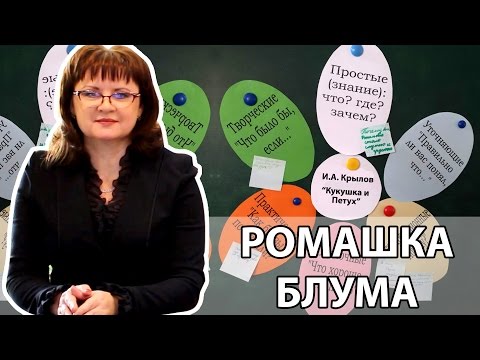 Видео: Ромашка Блума