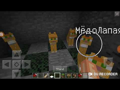 Видео: Видио обзор на племена:Тайги,Снегопадное и Раздольное племя.Майнкрафт Коты-Воители