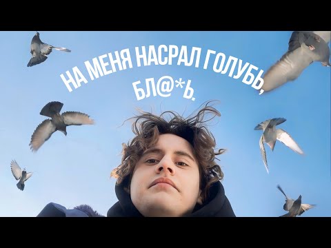Видео: неделя без мата