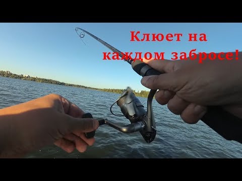 Видео: Клюет с каждого заброса! Рыбалка на озере Сенеж + розыгрыш 50 приманок в конце!