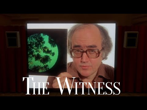 Видео: The Witness • Ep. 2 • Посмотрел кинцо