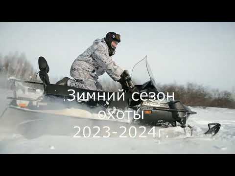 Видео: Охота на зайца.  18 января 2024г.  Охота состоялась!