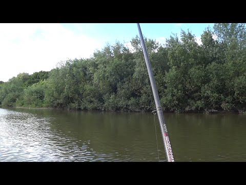 Видео: На хруща