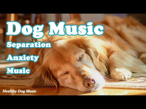 Видео: Музыка для собак: 🐶 Нежные песни для улучшения сна и лечения депрессии!