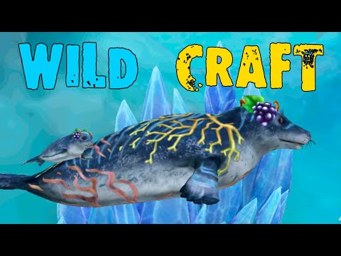 Видео: А у нас родился белёк ❤ WildCraft