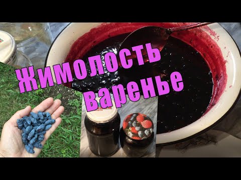 Видео: Витамины впрок ||Варенье из жимолости ||Здоровье в баночке