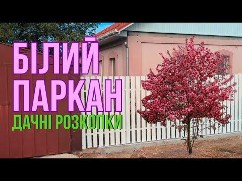 Видео: Дерев'яний паркан, що зробили😋Чому білий?🩷Розкопала скарб на дачі - цікава знахідка😱 Перший мінус🌡️