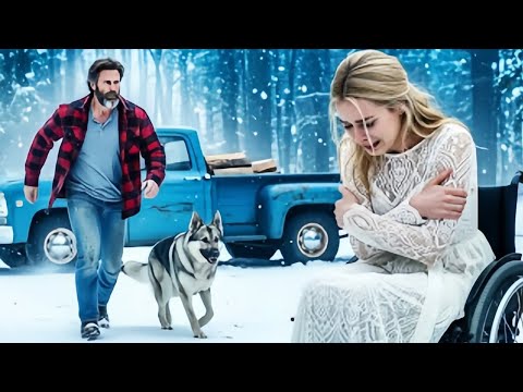 Видео: ВЕТЕРАН и его ПЁС спасли невесту в инвалидном кресле — не подозревая, что она МИЛЛИАРДЕРША, которая