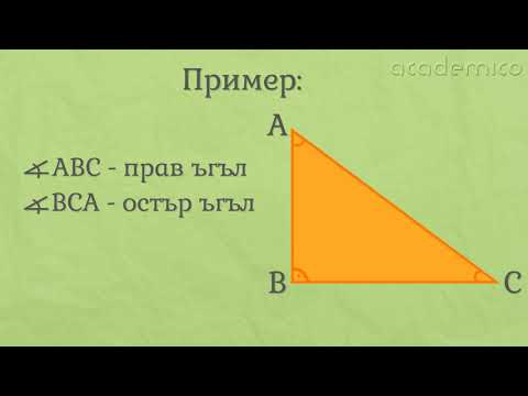 Видео: Видове ъгли - Математика 3 клас | academico