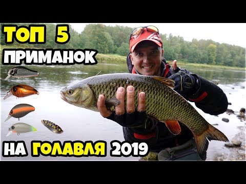 Видео: Мой Топ 5 приманок на голавля, сезон 2019