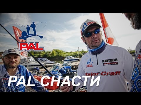 Видео: LIVE. Про снасти. Первый этап турнира Pro Anglers League 2017