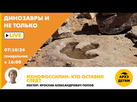 Видео: Занятие "Ихнофоссилии: кто оставил след?" кружка "Динозавры и не только" с Ярославом Поповым