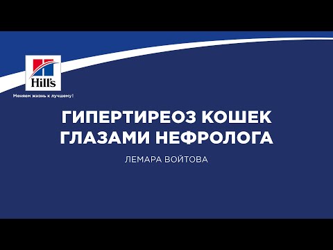 Видео: Вебинар на тему: «Гипертиреоз кошек глазами нефролога». Лектор – Лемара Войтова.