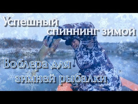 Видео: ВОБЛЕРА ДЛЯ ЗИМНЕЙ РЫБАЛКИ!УСПЕШНЫЙ СПИННИНГ ЗИМОЙ, АНТИ-ЛЁД!