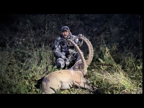 Видео: Горная охота на козерога. Джунгарский Алатау, Казахстан 2022. Ibex hunting in Kazakhstan, 2022.