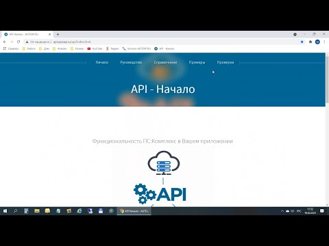 Видео: Пример работы с API на VB.Net
