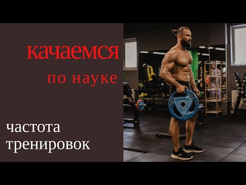 Видео: Качаемся по науке: Частота тренировок (сколько раз в неделю тренироваться)