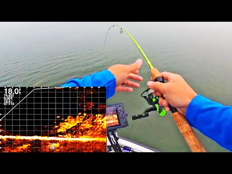 Видео: CRAPPIE + LIVESCOPE = НОВЫЙ ПУТЬ! Я покажу вам всё!!