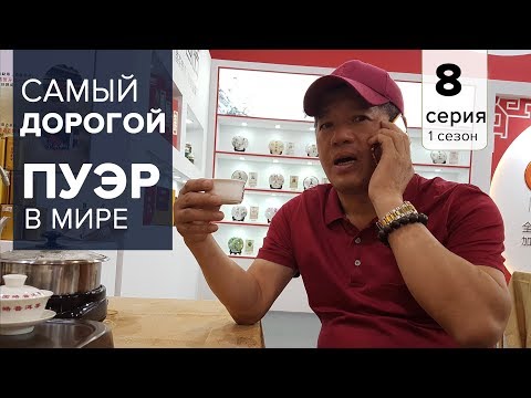 Видео: Самый дорогой Пуэр в мире: Лаобанчжан, Биндао. На выставке чая в Гуанчжоу.