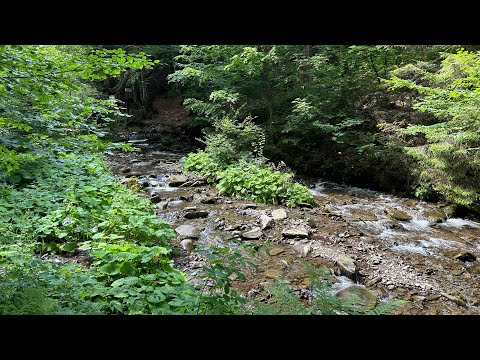 Видео: Їдемо на водоспад Шипіт, Закарпаття☀️💦