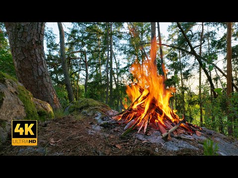 Видео: 4K📺 Успокаивающий костер на камне 🔥 Аутентичные звуки чистой природы