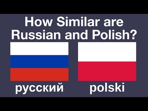 Видео: Насколько похожи русский и польский языки?